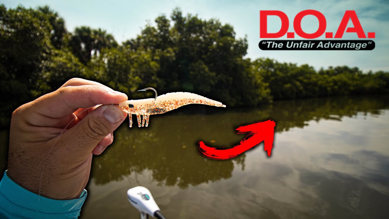 Best Shrimp Lure Ever? Testing The Famous Doa Shrimp!