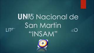 INSAMV