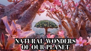 1 Hour Natural Wonders of Earth's Secrets in 4K All Locations shown on the screen
