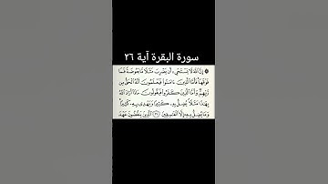 سورة البقرة آیة ٢٦#قران #سورة بقرة#قران_كريم #quran #viral #foru #forupage #fyp #fypシ゚viral