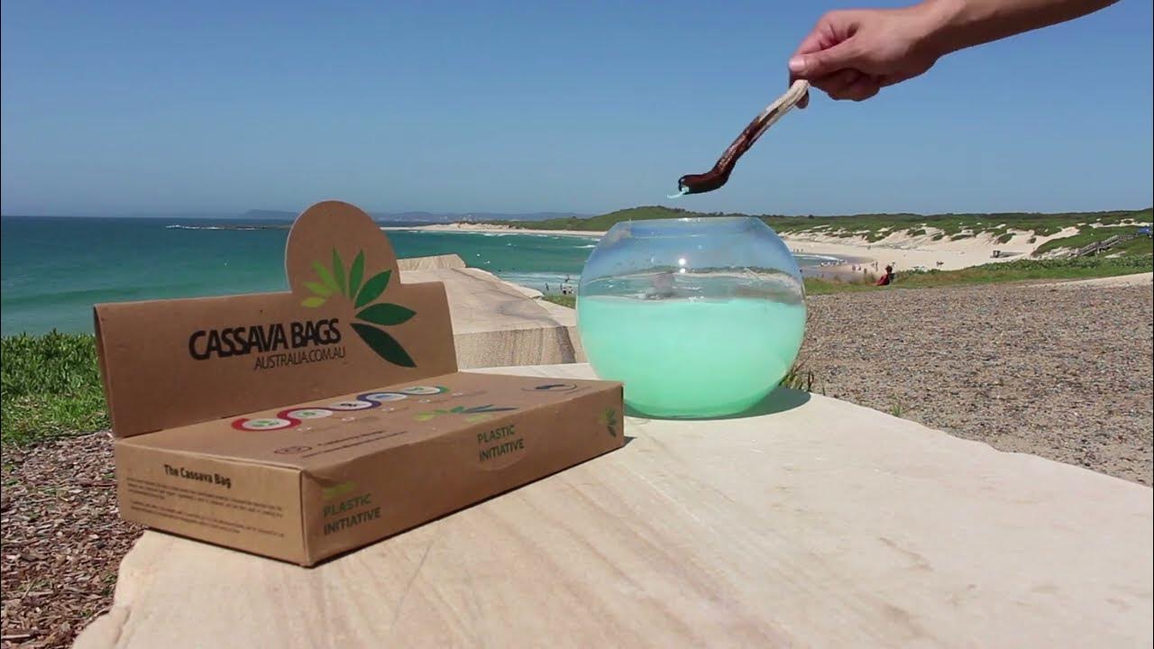 Watch A "Plastic Bag" Dissolve In Water Cassava Bags Australia YouTube