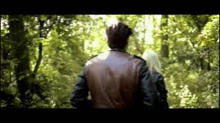 Two Wounded Birds- If Only We Remain