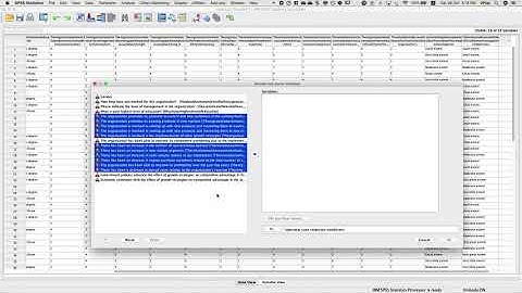 Recode words into numbers in SPSS (Using imported data from excel that hasn