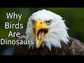 Why Birds Are Dinosaurs