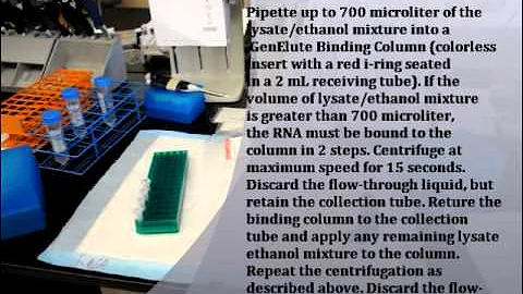 RNA Extraction