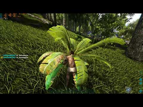 Ark Survival Evolved Epic Settings 2560x1440 | MSI RTX 2080 Ti Lightning Z | i7 8700K 5.0GHz