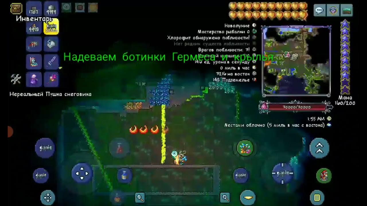 Плантера. - YouTube