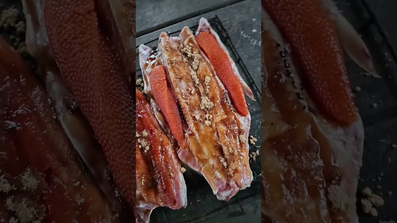 Rainbow Trout Catch and Cook