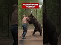 РУССКИЙ И МЕДВЕДЬ. АМЕРИКА В ШОКЕ #юмор