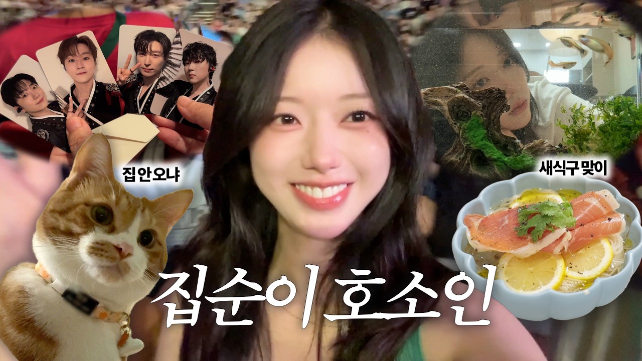 집순이에게 역마살이 꼈을 때 생기는 일🎸(ft. 히게단, 포레스텔라) | 새식구가 왔어요! 그것도 아주 많이...🐠