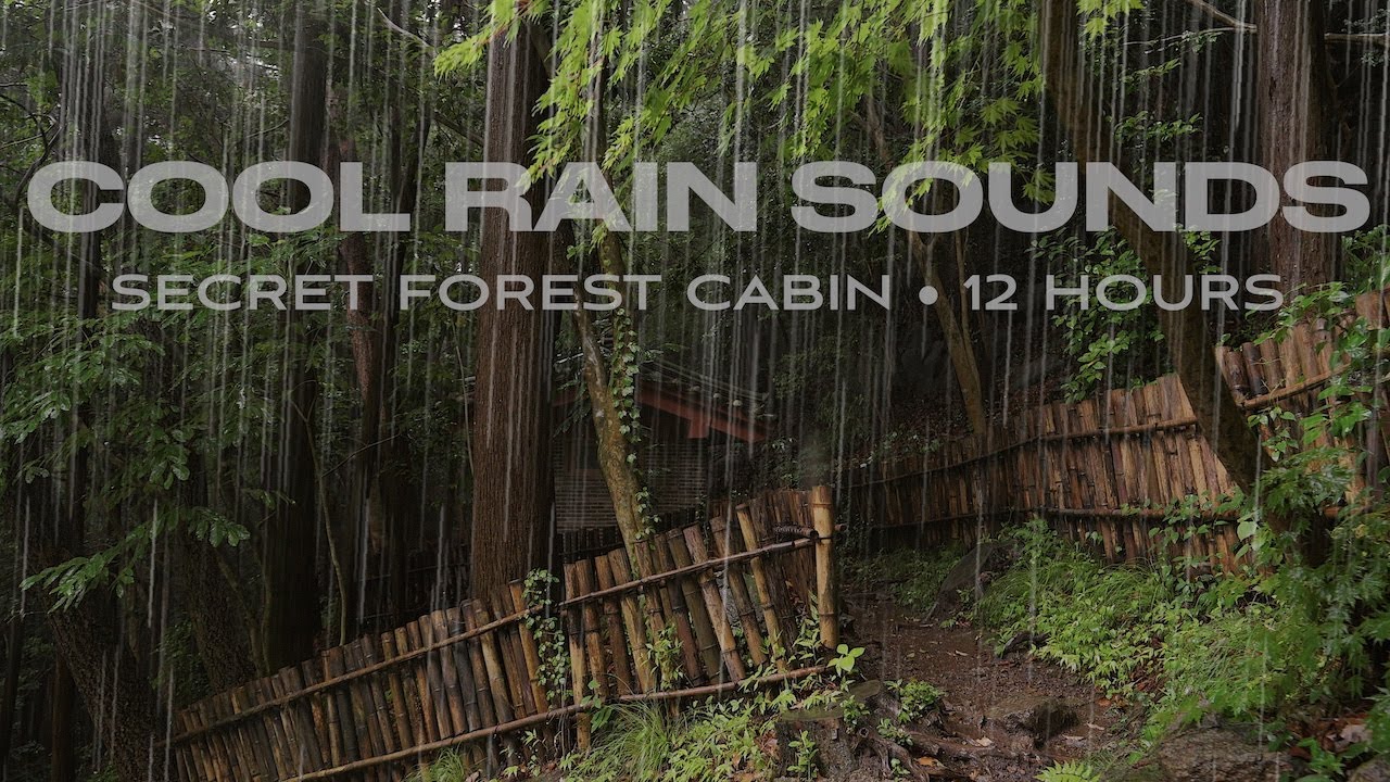 Cozy Sound of Rain for Deep Sleep | Steady Rainfall in the Secret Forest | Rain Sounds [12 HOURS]