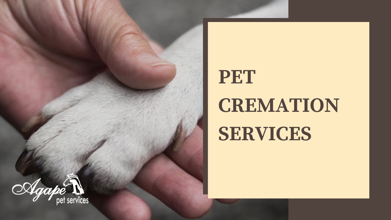 Agape Pet Cremation Services YouTube