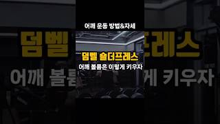 이 영상 하나로 넓은 어깨를 가질 수 있다!!