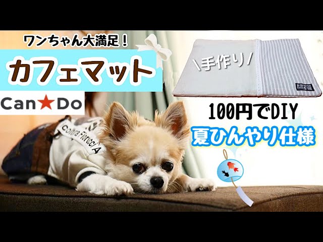 100均diy 針糸不要 400円で作成 ワンコも喜ぶ犬用カフェマットの作り方 チワワ大喜び 笑 夏仕様 購入品 キャンドゥ商品紹介 Youtube