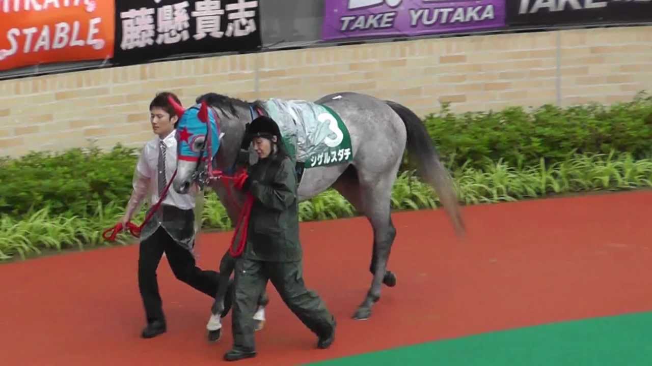 シゲルスダチとお姉さん 12年7月1日 中京 ｃｂｃ賞 Youtube