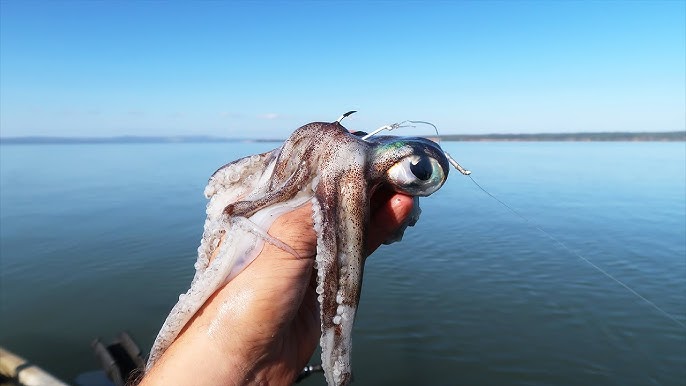 This Giant Squid COVERS Fisherman in Ink!?! 