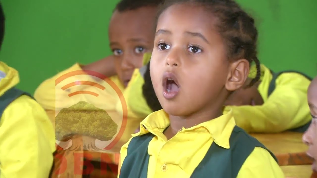 Barnoota Saayinsii Naannoo Gulantaa 1ffaa OBN Gaammee