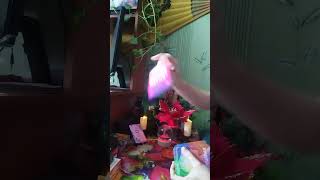 видео: Сплетни о Вас) Какие слухи ходят? 🗣️👤Кого жаба давит? 🐸 картинка: Сплетни о Вас) Какие слухи ходят? 🗣️👤Кого жаба давит? 🐸