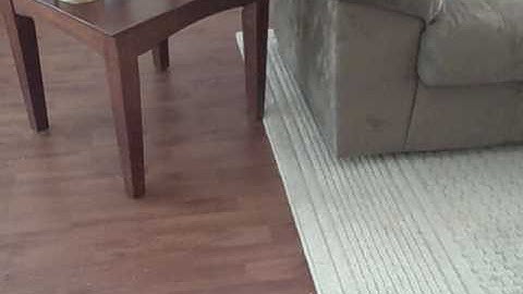 Catnip CATastrophe.  ; )