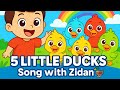 5 Little Ducks with Zidan 🦆 | Fun Kids Song & Nursery Rhyme