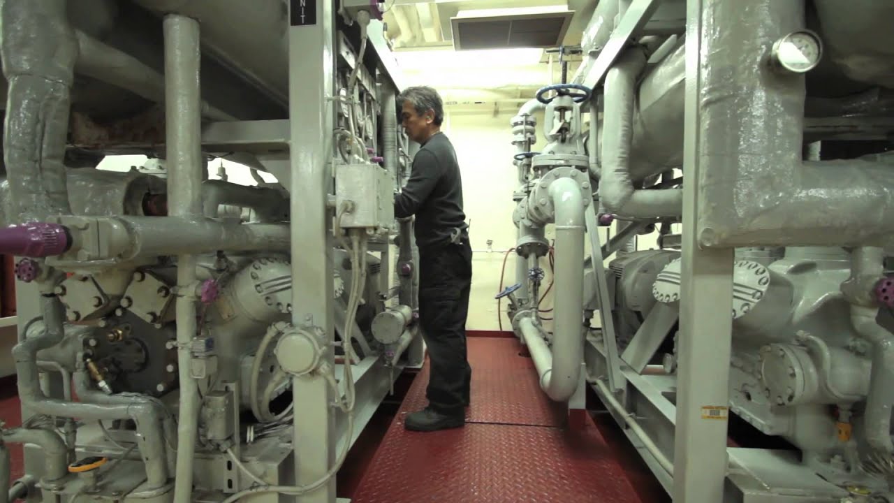 cruise ship refrigeration jobs