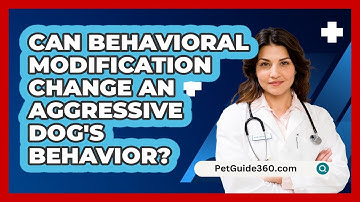 Can Behavioral Modification Change An Aggressive Dog