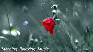 2 Hours Relaxing Music &amp; Soothing Water Sounds - Relaxing Piano Music, Lullaby Music, Peaceful Music