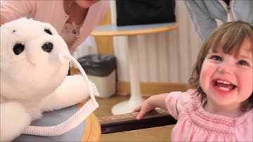 Presentation Cognitive Robotics