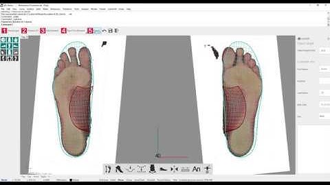 LutraCAD - Insole - Export PDF with custom settings