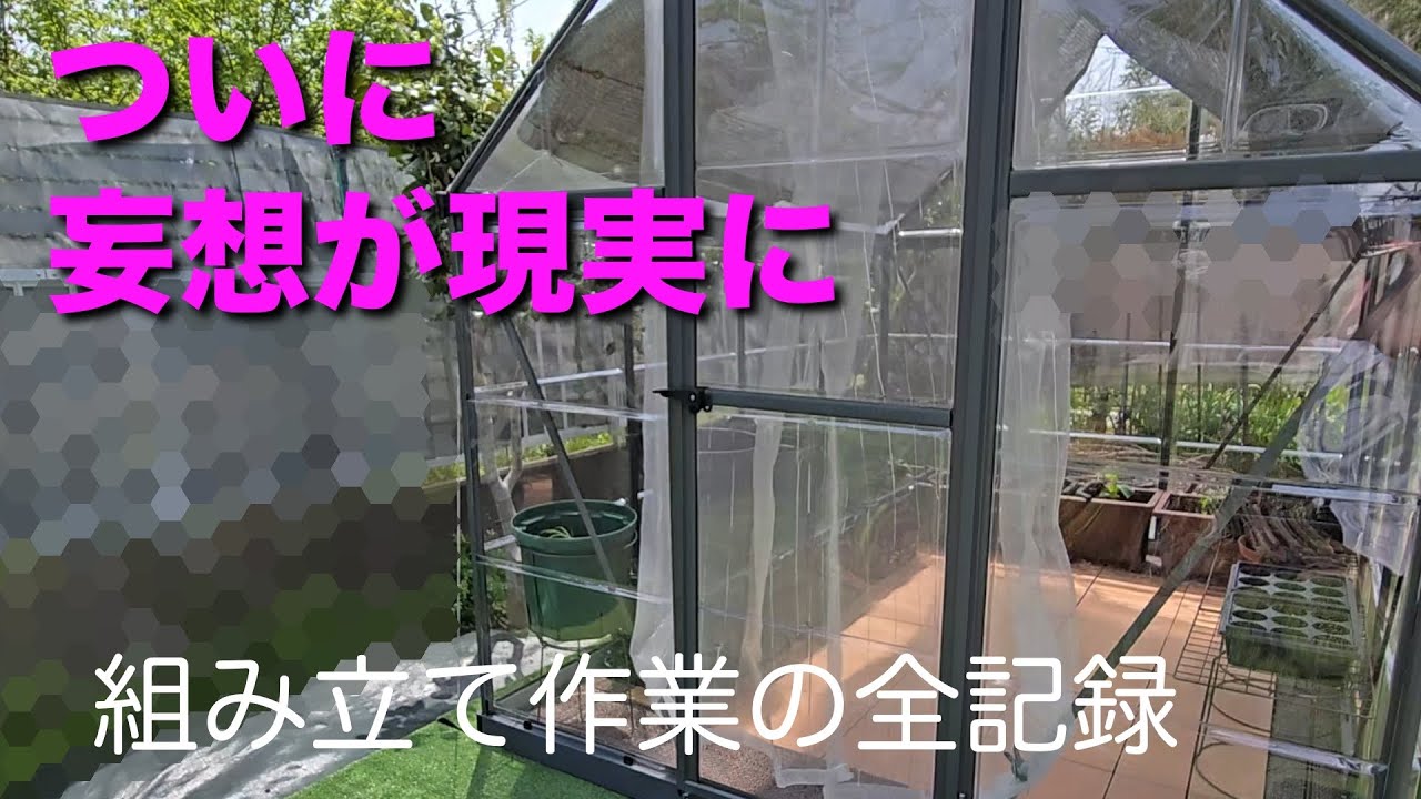 【雨の日ガーデニング】【温室】【グリーンハウス組み立て】身体に優しい温室ライフ