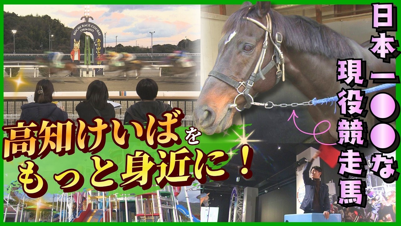【午年】競馬初心者でも楽しめる高知けいばを深掘り