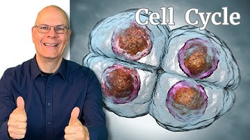 The Cell Cycle and Mitosis: What AP Bio Students NEED to KNOW
