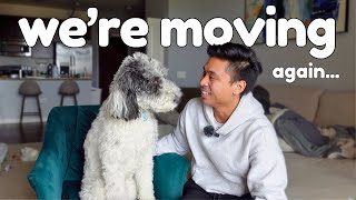 THIS Changes My Aussiedoodle's Life... | Chicago Apartment Tour & What's Next