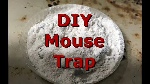 How to get rid of rats and mice in home for less than $1.00 - DayDayNews