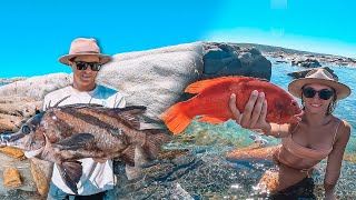 Spearfishing monster Boar fish | Remote Free Camp | catch and cook | WA | S1E12