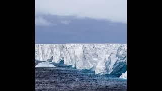 The Iceberg That Captivates: A23a's Grounding and Its Impact