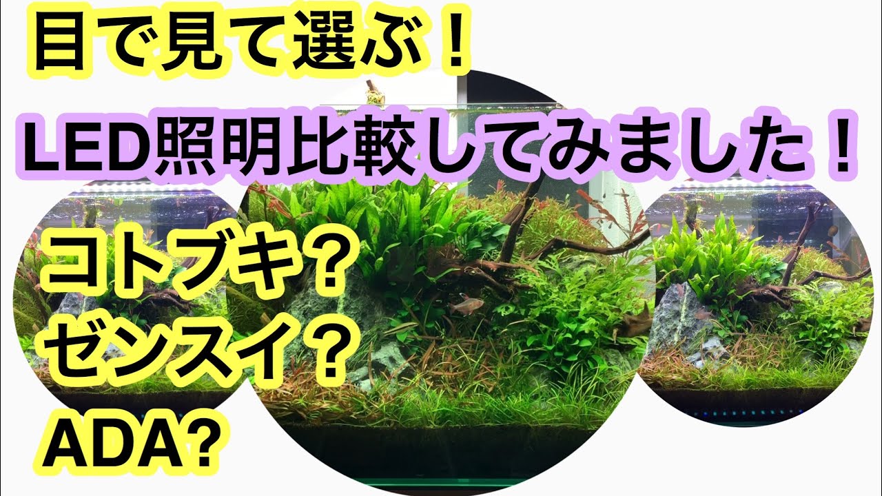 水草用ledを比較解説 水草用照明はメーカー毎に違います Youtube