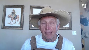 Working With A Buddy Sour Mule or Donkey