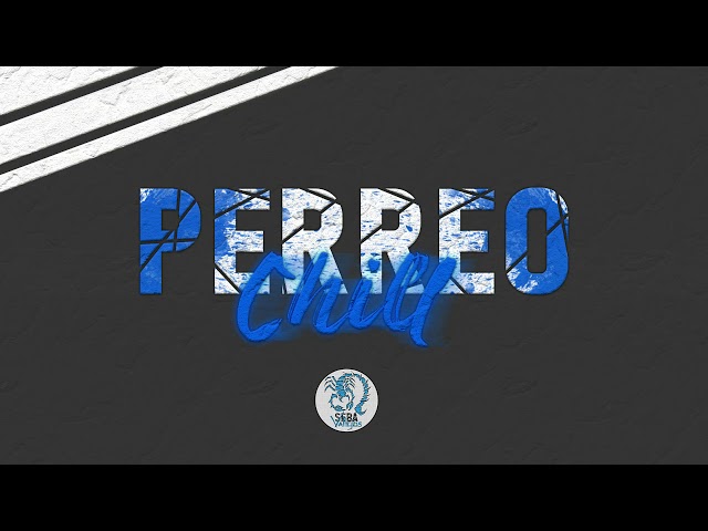 🥶Perreo Chill🥶 - SEBA VALLEJOS class=