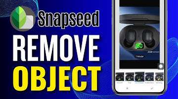 How To Remove Objects From a Photo Using Snapseed (2024)