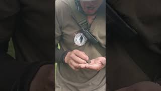 BUSCANDO TESOROS EN JALISCO ENCOTRE MONEDA DE LIS 1800 AÑOS ???⛏️