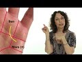 The Line of Past Life Association - Amazing Changes in Palmistry