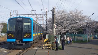 【桜と鶴見線E131系】JR鶴見線E131系1000番台都ナハT8編成 試9383M 試運転 小田第三通過！[2024.04.07(日)]