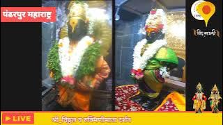 Shri Vitthal Live Darshan Today || 08/05/2024 || श्री विठ्ठल रुक्मिणी सकाळचे  दर्शन ||#liveDarshan