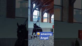 Insane Equestrian Vaulting Horses Skills | Beautiful Sport woltyżerka #horse #horsesport