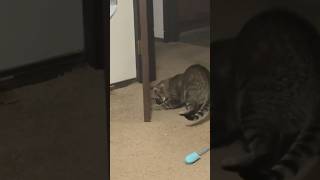 Diana Playing With A Door