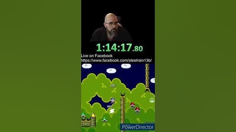 Shelltopia Exit 6 Woody Shell