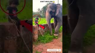 ELEPHANT ATTACK ON BABY ? | 🔥😱😱🤯 #shorts  #shortvideo #short