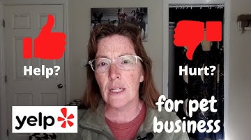 Will Yelp! reviews help or hurt your pet business?