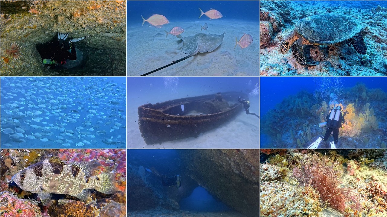 Scuba Diving in Mauritius 2025-2026